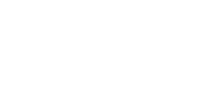 Biedronka